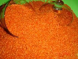 Red lentils